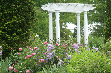 Pergolas, Gazebos & Arbors (6)